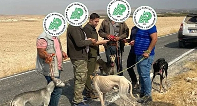 Urfa’da kaçak avcılık yapan 13 kişiye para cezası!