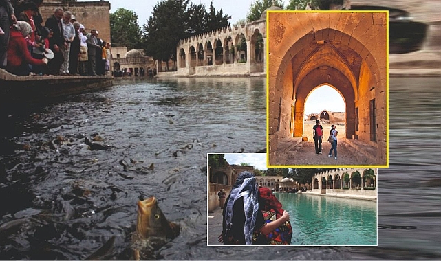 İşte Urfa'nın turizm istatistikleri!