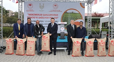 Valilikten mercimek üretimi için adım atıldı!