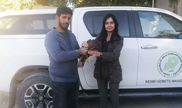 Vatandaşlar yaralı halde buldu: Tedavi altına alındı!