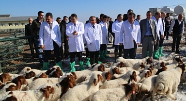 Bakan Dönmez, Ceylanpınar'da temaslarda bulundu