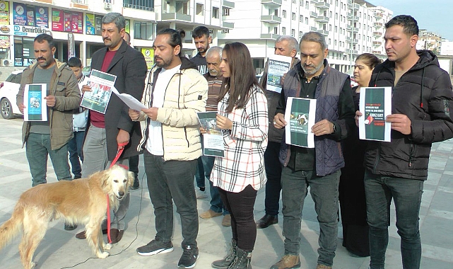 Ceylanpınar'da sokak hayvanları unutulmadı!