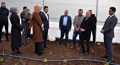 Kaymakam Gölbaşı sera alanında incelemelerde bulundu