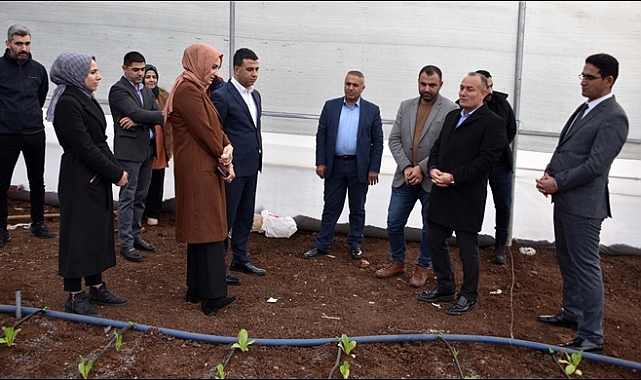 Kaymakam Gölbaşı sera alanında incelemelerde bulundu