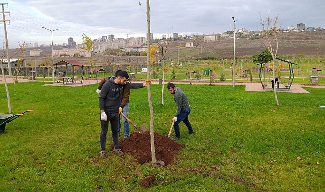 Siverek’te Parklarda ağaç dikimi yapılıyor