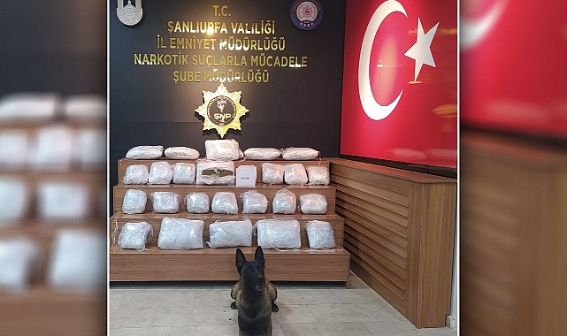 Urfa'da dev uyuşturucu operasyonu!