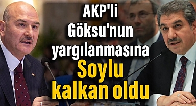 AK Parti'li Göksu'nun yargılanmasına Bakan Soylu kalkan oldu