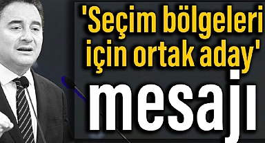 Babacan'dan 'seçim bölgeleri için ortak aday' mesajı