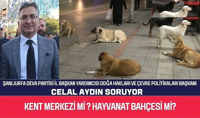 Başkan Aydın: Kent Merkezi mi? Yoksa Hayvana Bahçesi mi?