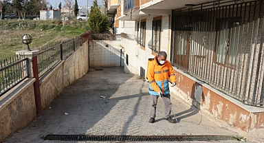 Büyükşehir Vektör İle Mücadelede İşi Sıkı Tutuyor