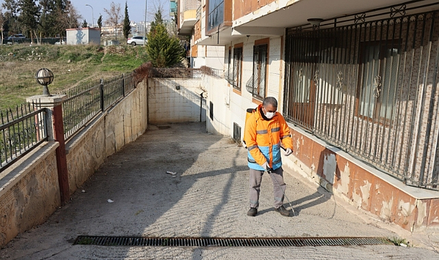 Büyükşehir Vektör İle Mücadelede İşi Sıkı Tutuyor