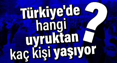 Göç idaresi açıkladı: Türkiye'de hangi uyruktan kaç kişi yaşıyor?