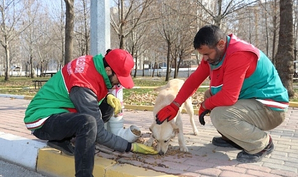 Karaköprü'de Sokaktaki Canlar Aç Kalmıyor