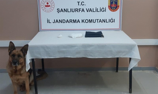 Şanlıurfa'da otobüste uyuşturucuyla yakalanan zanlı tutuklandı