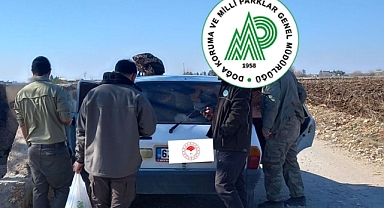 Urfa'da kaçak avcılara bir darbe daha!