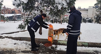 Eyyübiye'de 'can dostlar' unutulmadı!