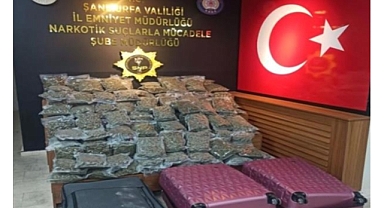 Şanlıurfa'da 59 kilo 650 gram skunk ele geçirildi