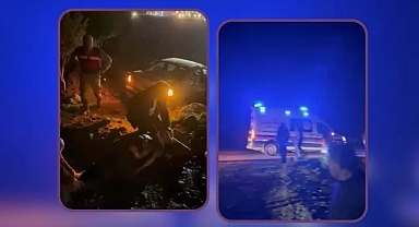 Şanlıurfa'da araç şarampole uçtu!