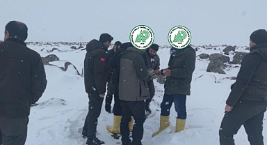 Urfa'da kaçak avcılara müdahale edildi!