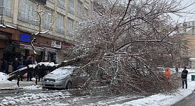 Urfa’da kar etkili oldu! Ağaç devrildi, çatı çöktü!