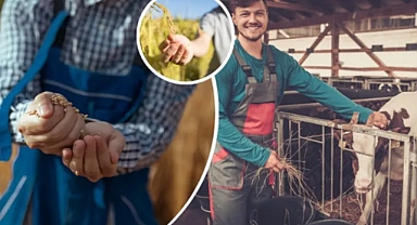 'Uzman Eller Projesi'nde süre uzatıldı!