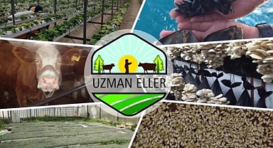 250 bin liraya kadar destek verilecek! Başvurular başladı