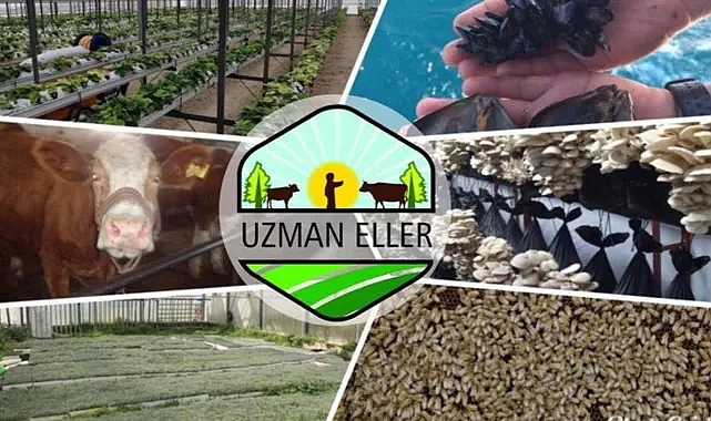 250 bin liraya kadar destek verilecek! Başvurular başladı