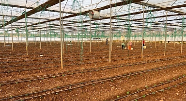 Antalya'da öğrendi! Urfa'da kendisi kurup üretim yaptı!