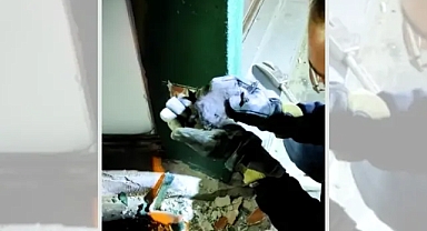 Şanlıurfa'da su borularına sıkıştı! İtfaiye yetişti