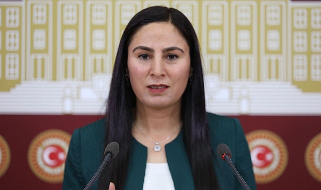 Şanlıurfa’da Vatandaşı İsyan Ettiren Yüksek Doğalgaz Faturaları Meclise Taşındı