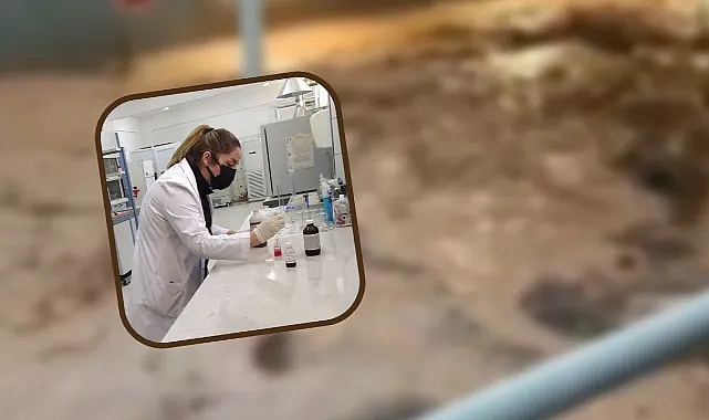 Sel felaketi sonrası Urfa'daki içme suyunda sıkıntı var mı? Açıklama geldi