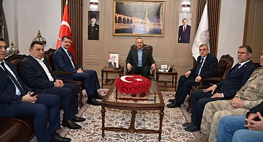 Vali Ayhan, Çavuşoğlu'na sel ve deprem çalışmalarını anlattı