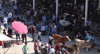 Hastalık nedeniyle kapalıydı! Urfa'nın ilçesinde yarın açılıyor!