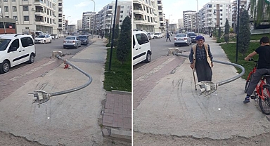 Kimse rahatsız değil! Karaköprü’de sıradan bir manzara!