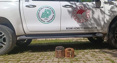 Urfa'da denetim: İşlem yapıldı!