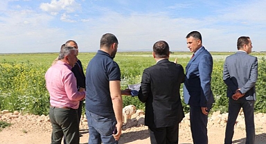 Urfa'nın ilçesine yeni bir cezaevi yapılacak!