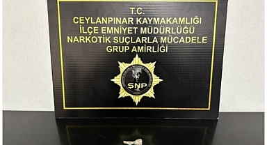 Ceylanpınar'da hırsızlık şüphelisi tutuklandı