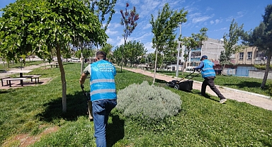 Eyyübiye’de Park ve Yeşil Bilinci Gelişiyor