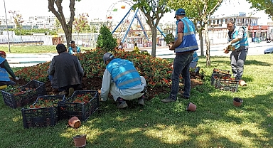 Eyyübiye Parkları Çiçeklerle Renkleniyor