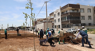 Haliliye’de hummalı çalışmalarla parklar güzelleşiyor