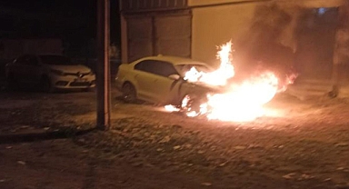 Korkutan yangın: Şanlıurfa'da alevler geceyi aydınlattı!