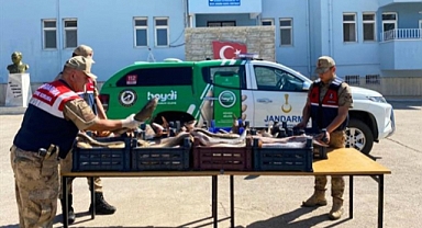 Atatürk Barajı'nda kaçak balık avlayan kişiye 16 bin 561 lira ceza