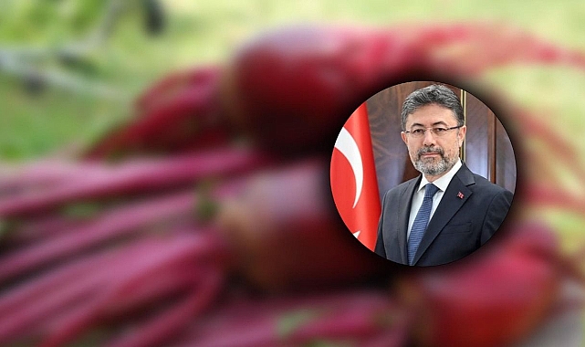 Bakan Yumaklı duyurdu: Ödemeler başladı!