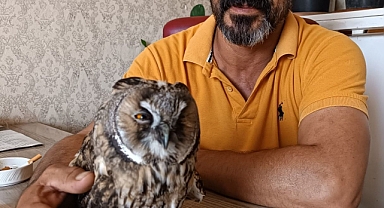 Bitkin halde bulundu! Şanlıurfa'da tedavi edildi!