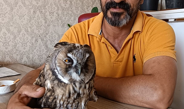 Bitkin halde bulundu! Şanlıurfa'da tedavi edildi!