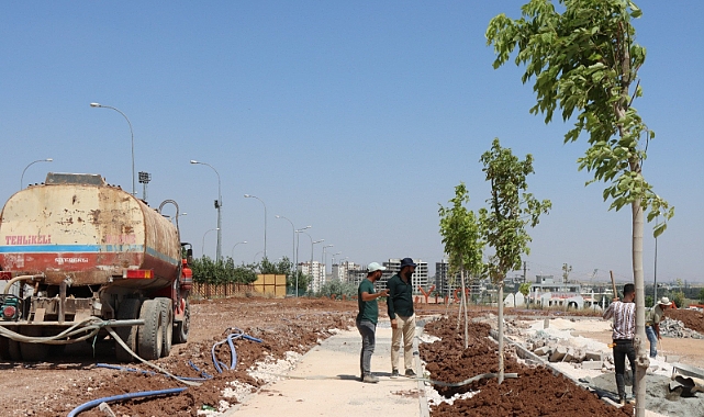 Büyükşehir’den devasa park çalışması