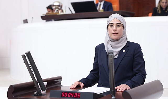 Yazmacı Meclis Kürsüsünde Konuştu : Yatırımcıları Urfa’ya davet etti