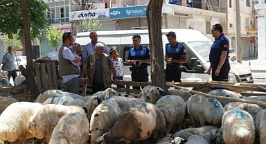 Haliliye Belediyesi Kurban Bayramında 635 Personeliyle Sahada