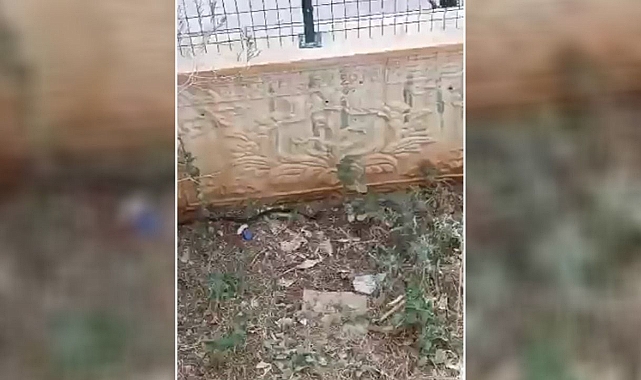 Havalar ısındı! Urfa’da bir sitede görüldü!