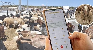 Kurbanlıklar için mobil çözüm!